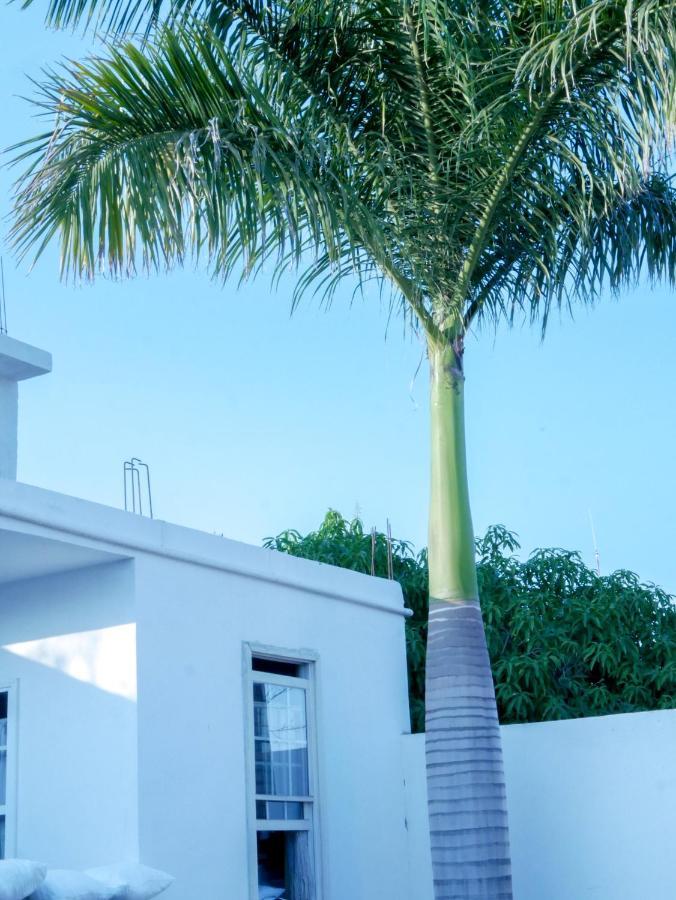 Hotel La Huerta Rio Verde Luaran gambar
